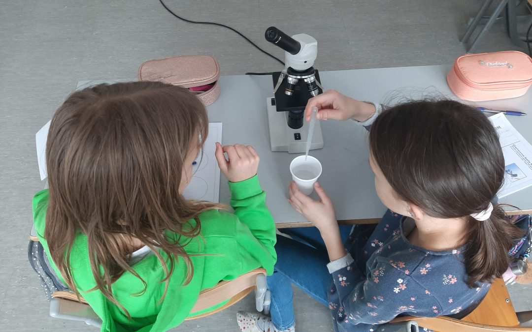 Prve naloge z mikroskopom (delavnica za 5. razred)